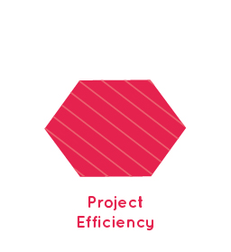 Project Efficiency