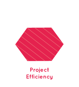 Project Efficiency